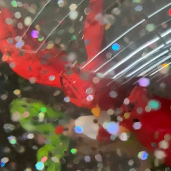 Holiday Time - Picture 4 of 7